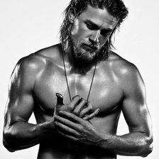 Схема вышивки «Чарли Ханнэм»