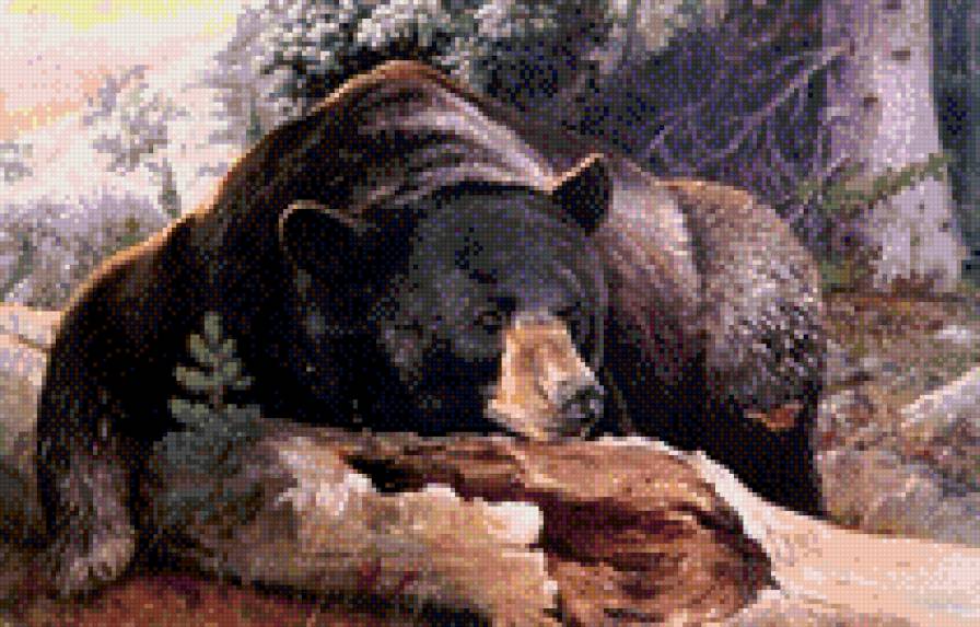 отдых - природа, медведь, животные - предпросмотр