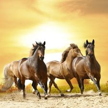 Схема вышивки «лошади»