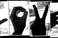 Схема вышивки «монохром»