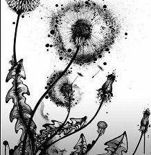 Схема вышивки «Одуваньчик»