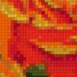 Предпросмотр схемы вышивки «Розы» (№755047)
