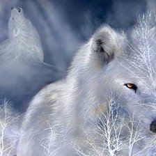 Одинокий валк