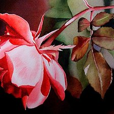 Схема вышивки «Роза»