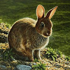 Схема вышивки «заяц»