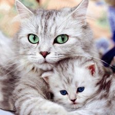 Схема вышивки «кошки»