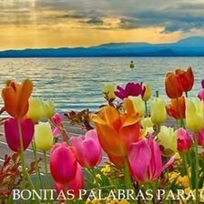 Схема вышивки «№755451»