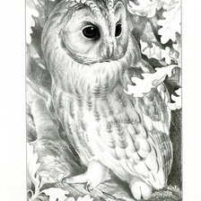 Схема вышивки «сова»