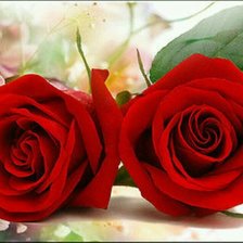 Схема вышивки «Розы»