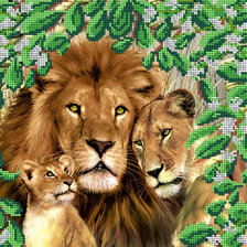 Львиное семейство