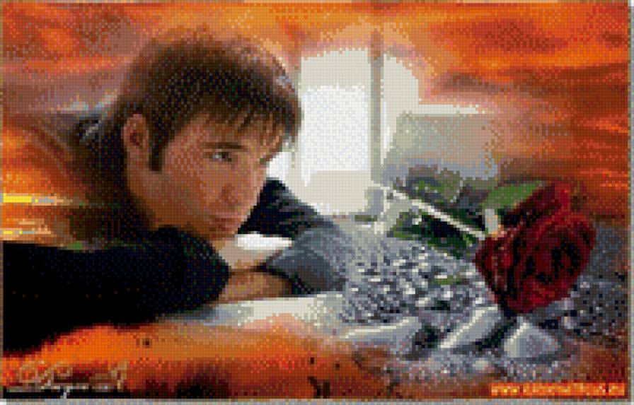 задумчивость - цветы, парень, роза - предпросмотр