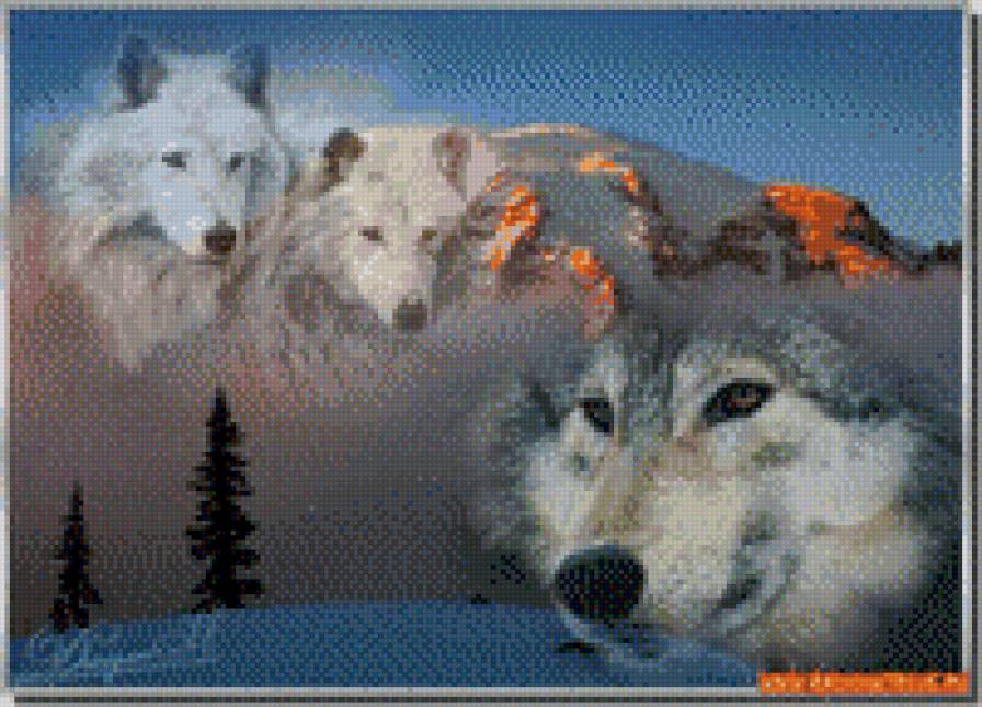 волки - животные, волк, природа - предпросмотр