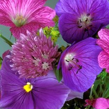 Схема вышивки «Цветы»