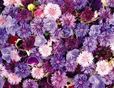 Схема вышивки «Цветы»