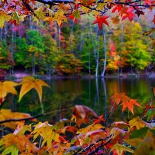 Схема вышивки «осень»