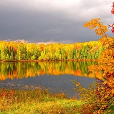 Схема вышивки «осень»