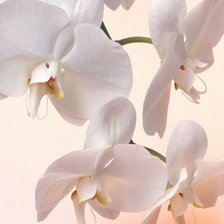 Схема вышивки «ар3»