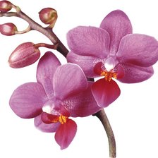 Схема вышивки «ар4»