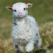 Схема вышивки «Малыш»