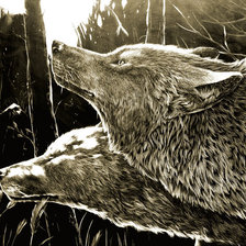 Схема вышивки «Волки»