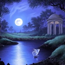 Белый лебедь