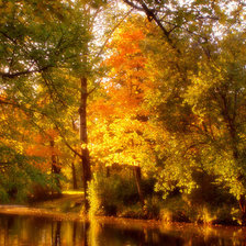 Схема вышивки «осень»
