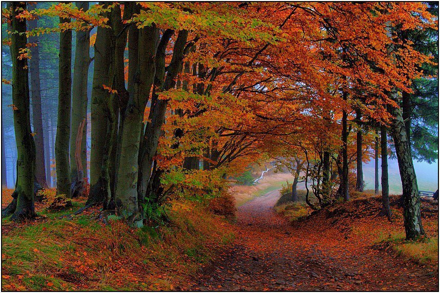 осень - оригинал