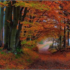 Схема вышивки «осень»