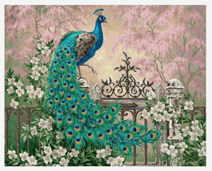 павлин - цветы, птицы - предпросмотр