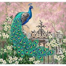 Схема вышивки «павлин»