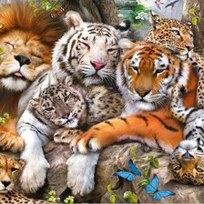 Схема вышивки «хищники»