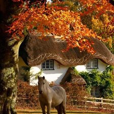 Схема вышивки «осень»