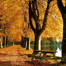 Схема вышивки «осень»