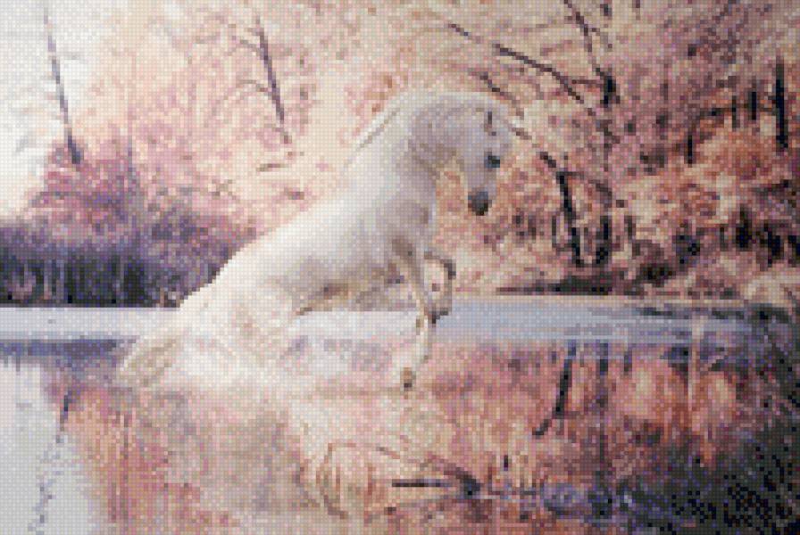 лошадка - красота, лошадь. животные - предпросмотр