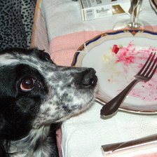 Схема вышивки «Хочу добавки»