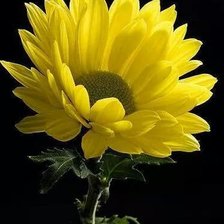 Схема вышивки «№756700»