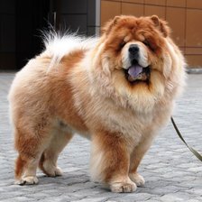 Схема вышивки «Тай 1»