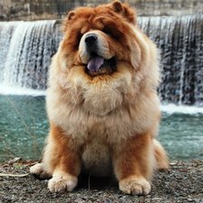 Схема вышивки «Тай2»