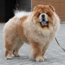 Схема вышивки «Тай4»