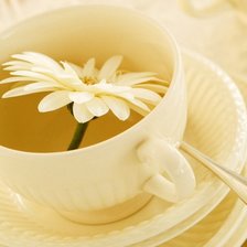 Схема вышивки «чашечка герберы»