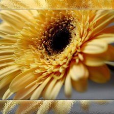 Схема вышивки «гербера с отражением»