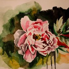 Схема вышивки «Розовый пион»