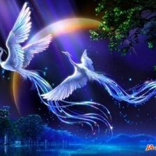 Схема вышивки «птицы»