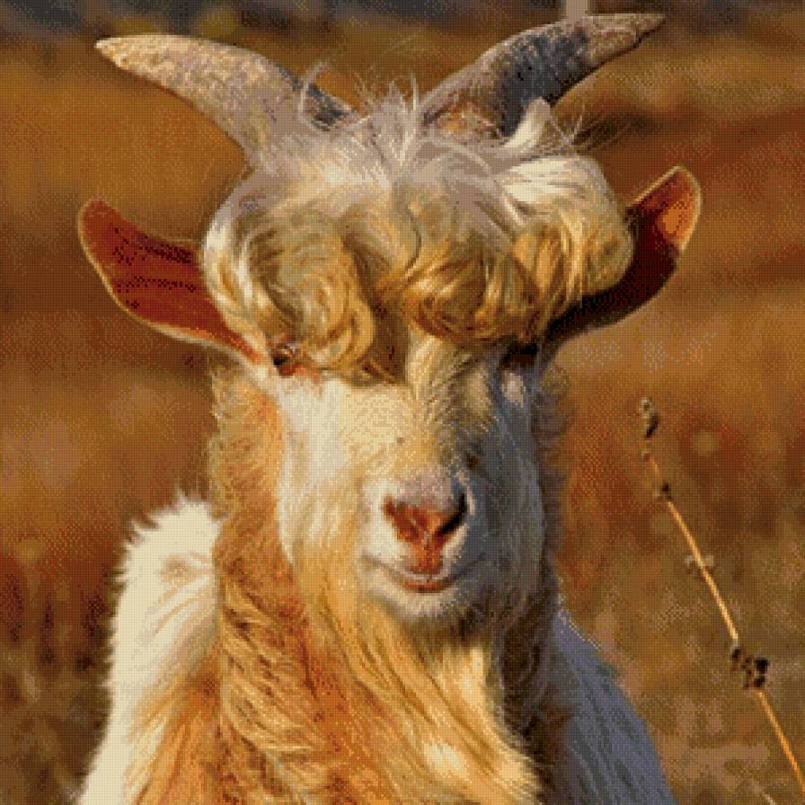 Красивый парень, но - КОЗЁЛ. - предпросмотр