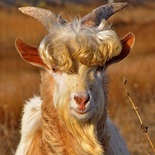 Красивый парень, но - КОЗЁЛ.