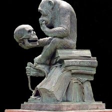 Схема вышивки «думы»