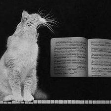 Схема вышивки «Певец»