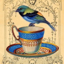 Схема вышивки «птичка на чашке»