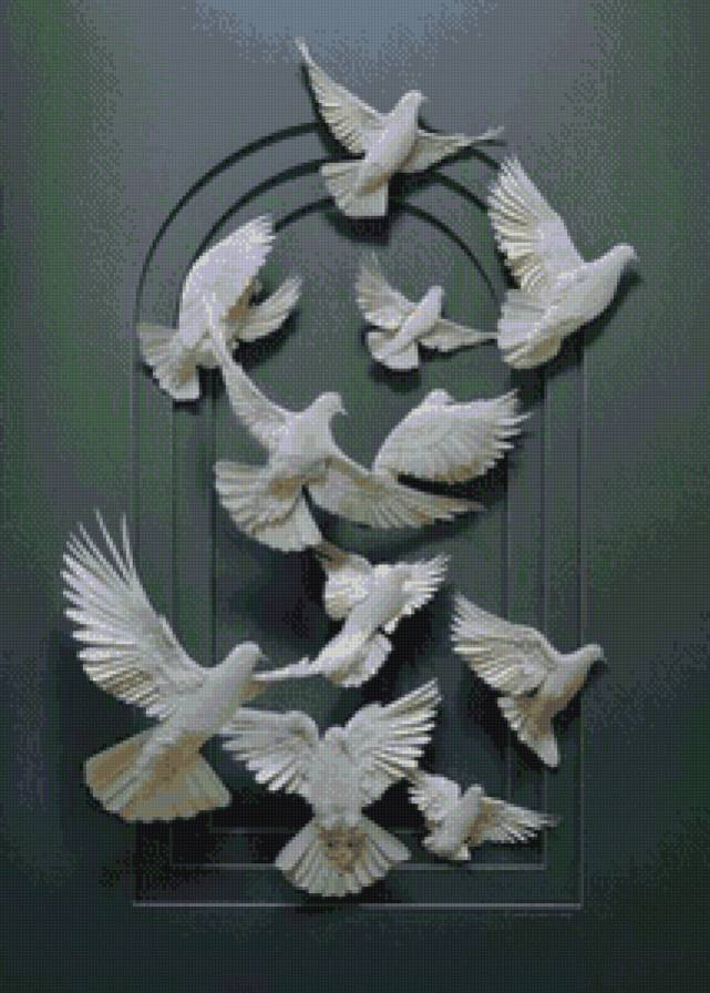 голубь - птицы - предпросмотр