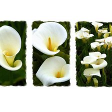 Схема вышивки «Модульная картина»